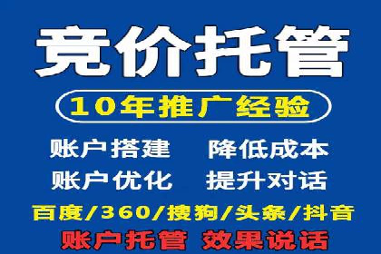 SEM推广代运营公司：实战案例解析